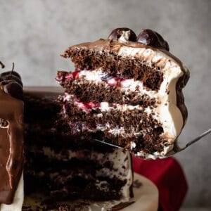Slice of cake being taken out and ready to put on a plate.
