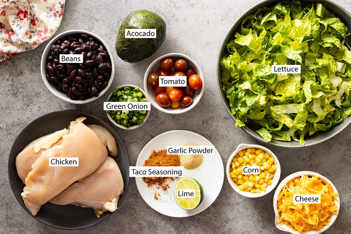 Ingredients: chicken, black beans, spices, onion, tomato, avocado, corn, cheese, lettuce.
