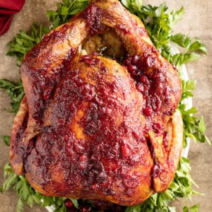 Overhead view of a whole turkey glazed with a yummy homemade cranberry sauce.