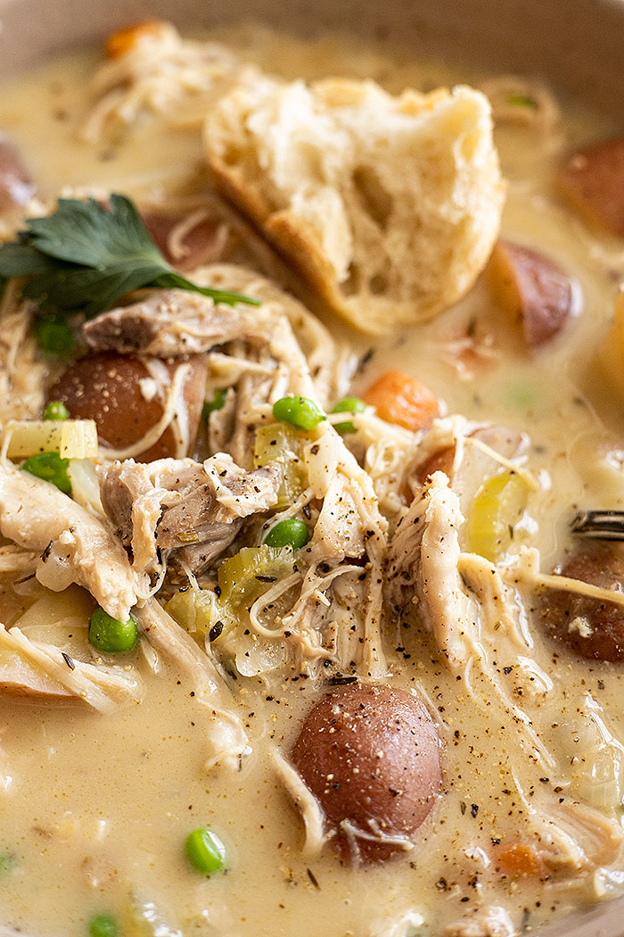 Close up of the stew to see the wonderful chunks of vegetables and chicken.
