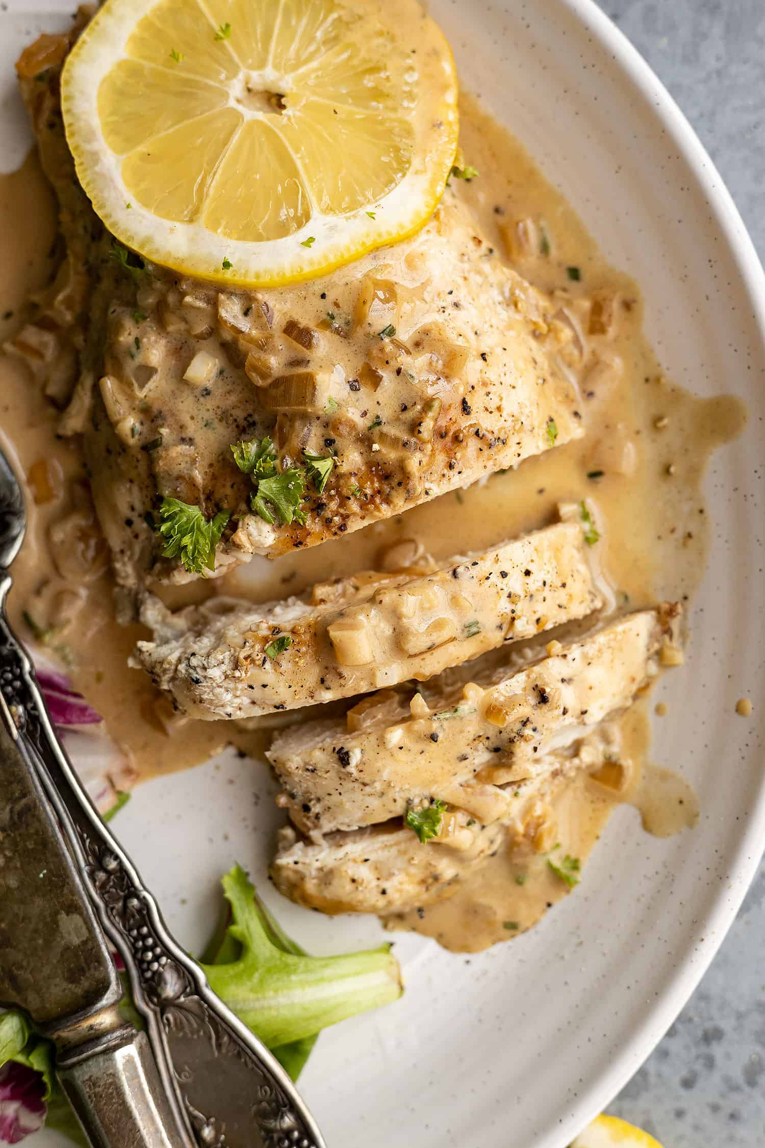 Overhead view of chicken sliced on a plate with sauce over the top.