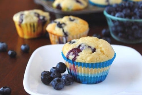 Blueberry Yogurt Muffins