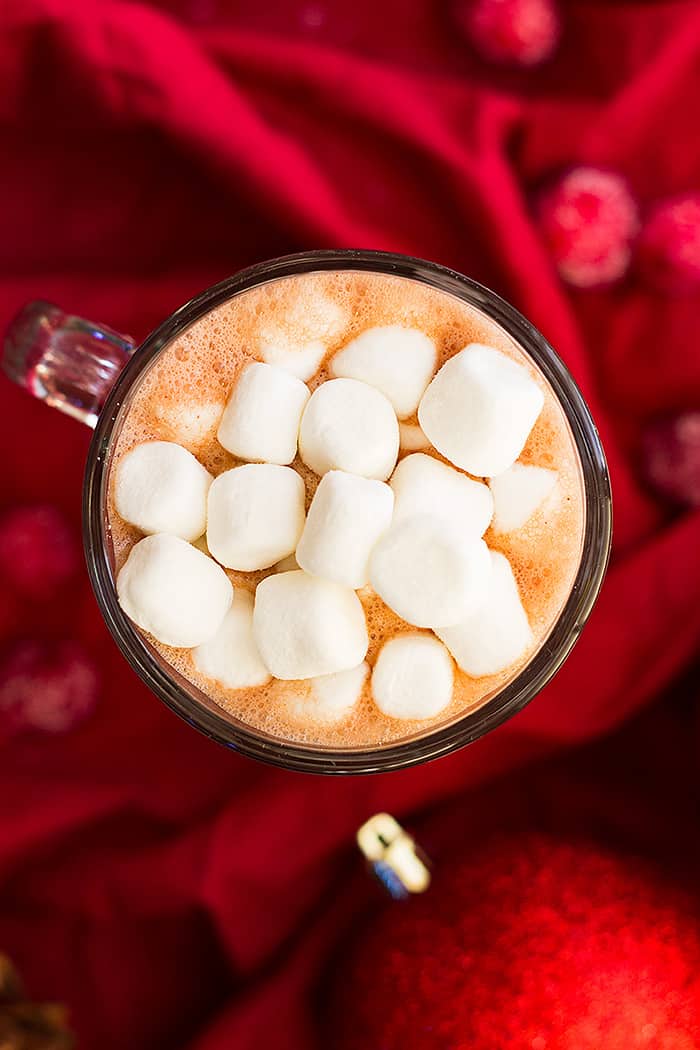 This Homemade Dark Chocolate Hot Cocoa Mix is rich, creamy, and makes the best hot chocolate! You'll never buy the store bought mix again!