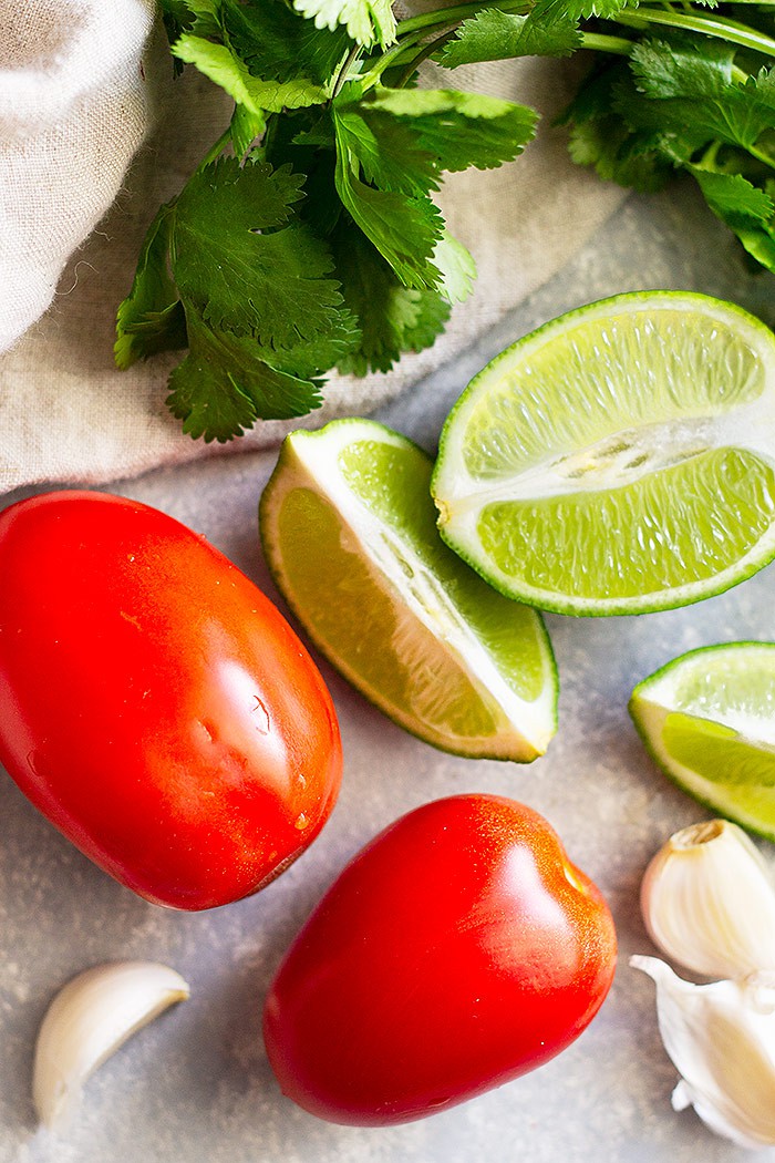 How to make Homemade Pico de Gallo -a simple and fresh salsa. Make this as chunky or smooth as you like and as spicy or mild as you like.