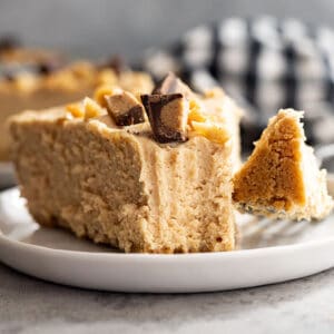 Slice of pie on a white plate with bite taken out. Peanuts and peanut butter cups on top.