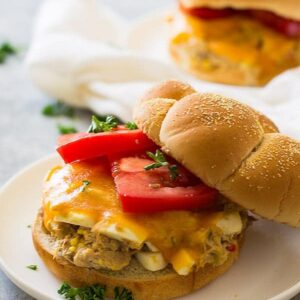 Close up shot of sandwich with hamburger bun, sliced tomato, and cheese on white plate.